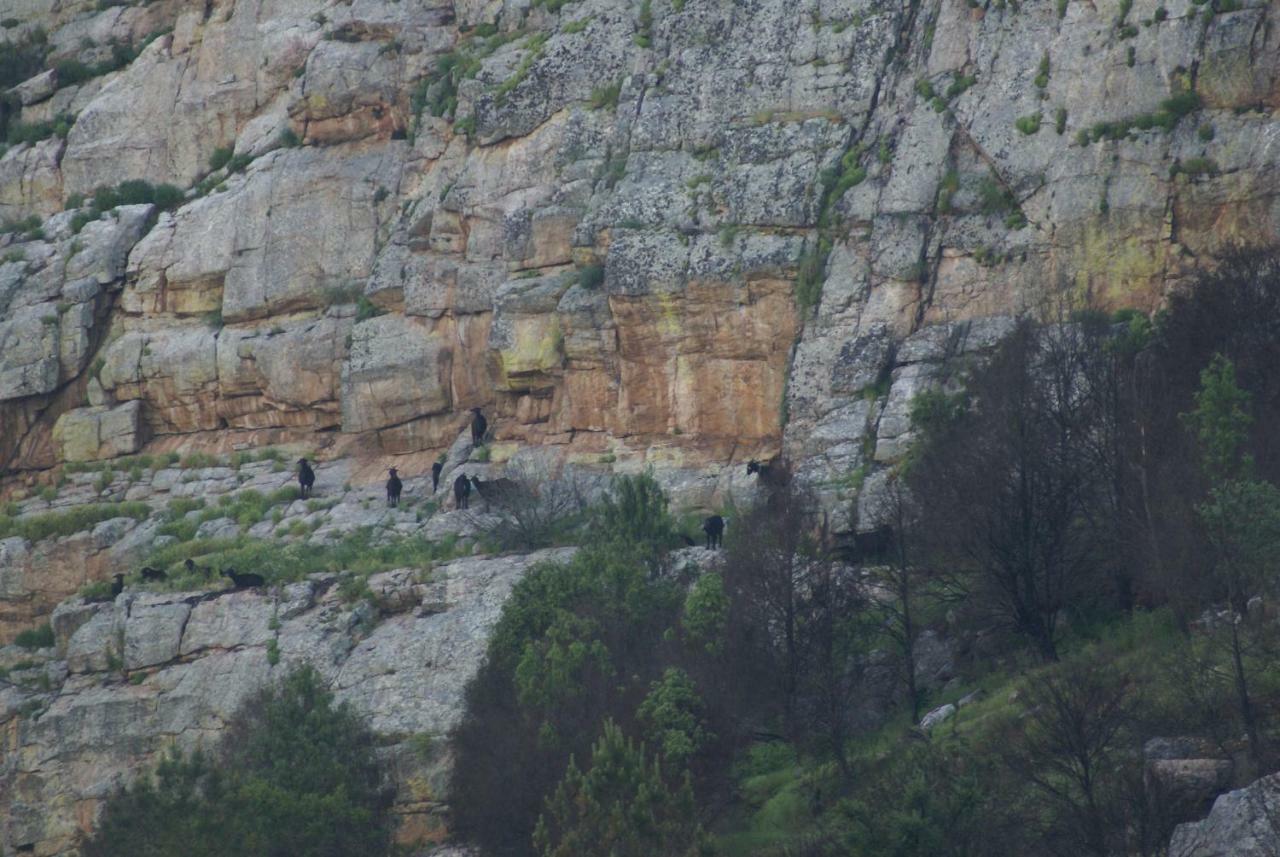 Arneiro  Monte Do Pegoヴィラ エクステリア 写真