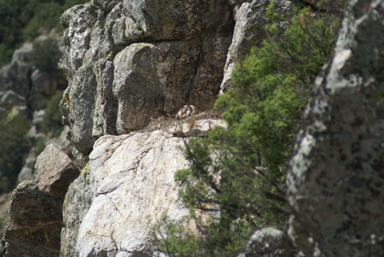 Arneiro  Monte Do Pegoヴィラ エクステリア 写真