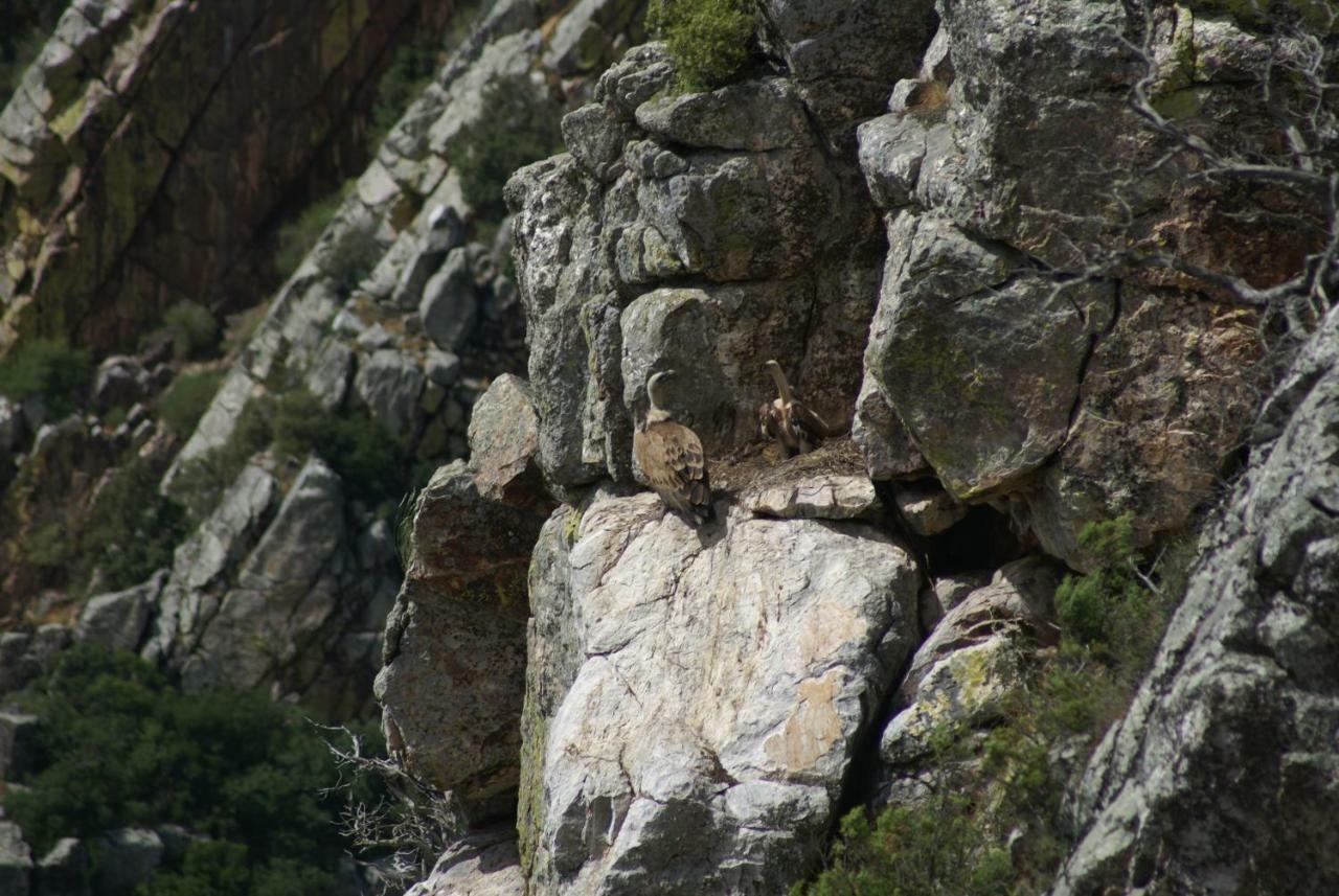 Arneiro  Monte Do Pegoヴィラ エクステリア 写真