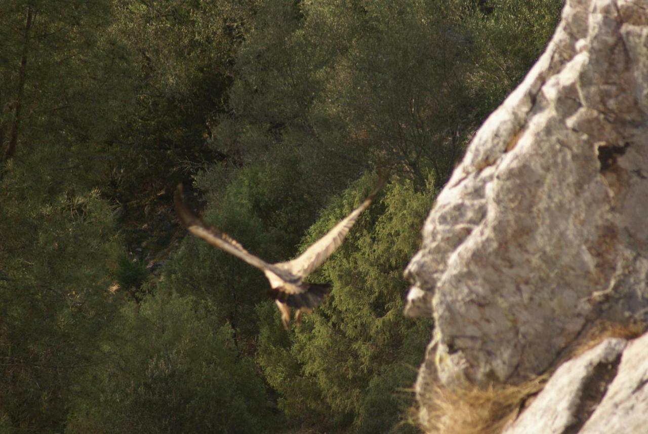 Arneiro  Monte Do Pegoヴィラ エクステリア 写真